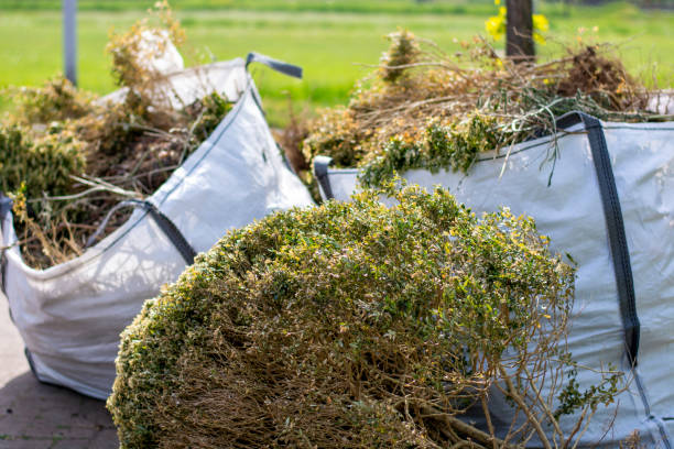 Best Professional Junk Removal  in Pomona, NY